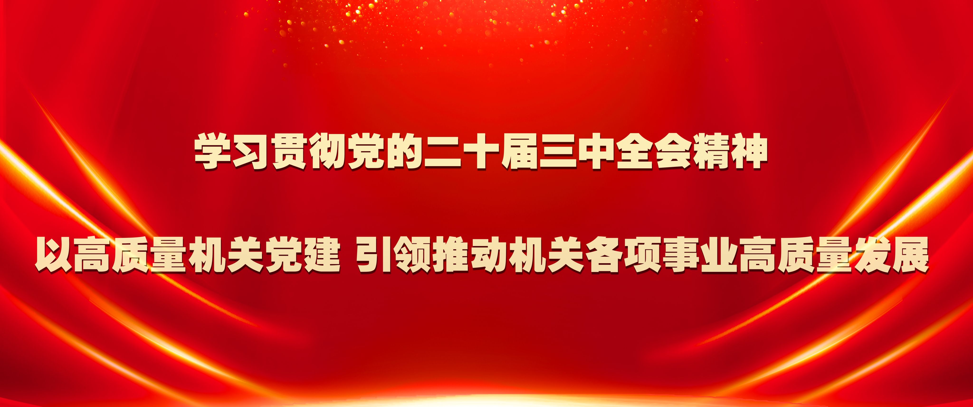 学习贯彻党的二十届三中全会精神 以高质量机关党建 引领推动...